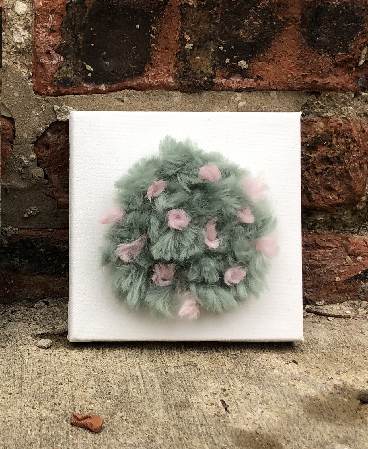 Multicolored Small Tuft