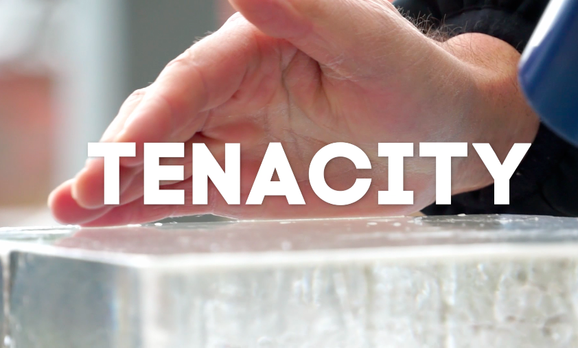 Tenacity social experiment video
