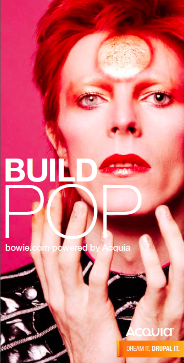 Acquia tagline - poster series "Bowie"