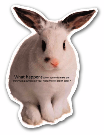 Bunny direct mail package