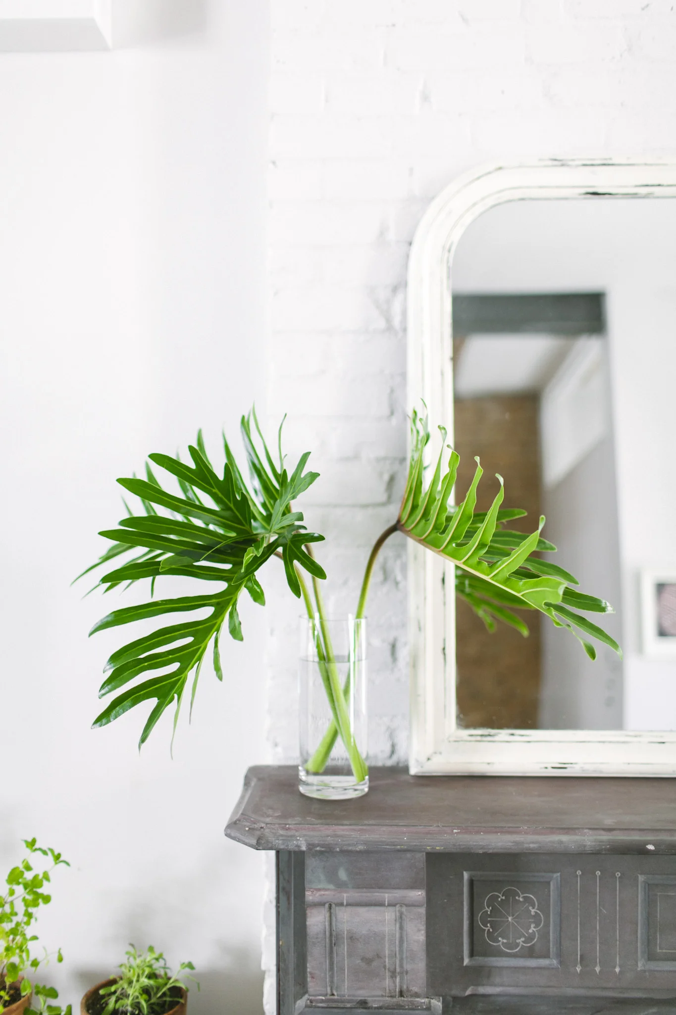 Leaf+June40.jpg