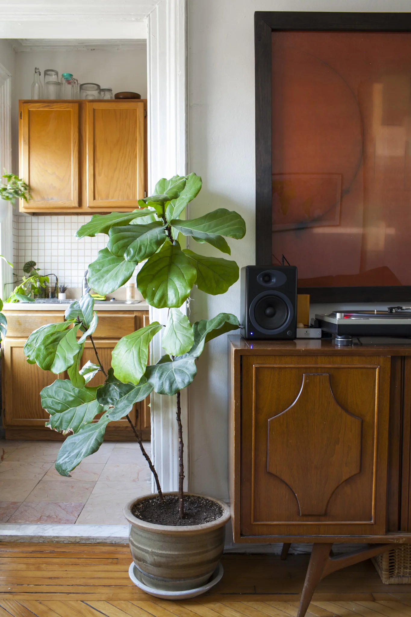 Leaf+June43.jpg