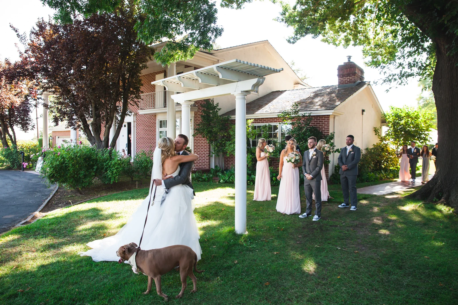 grace vineyards galt.jpg