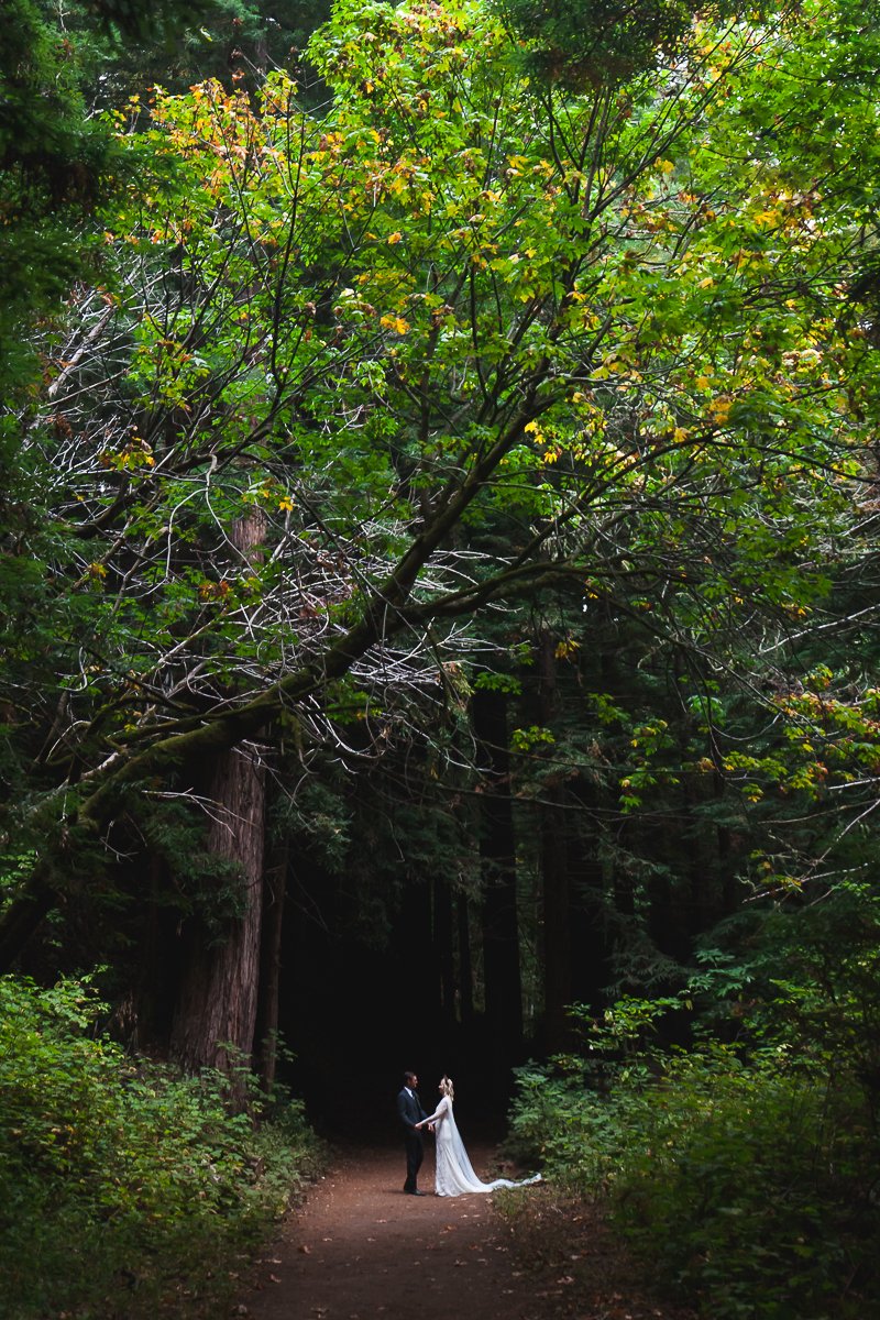 Purisima Creek Redwoods Preserve Elopement
