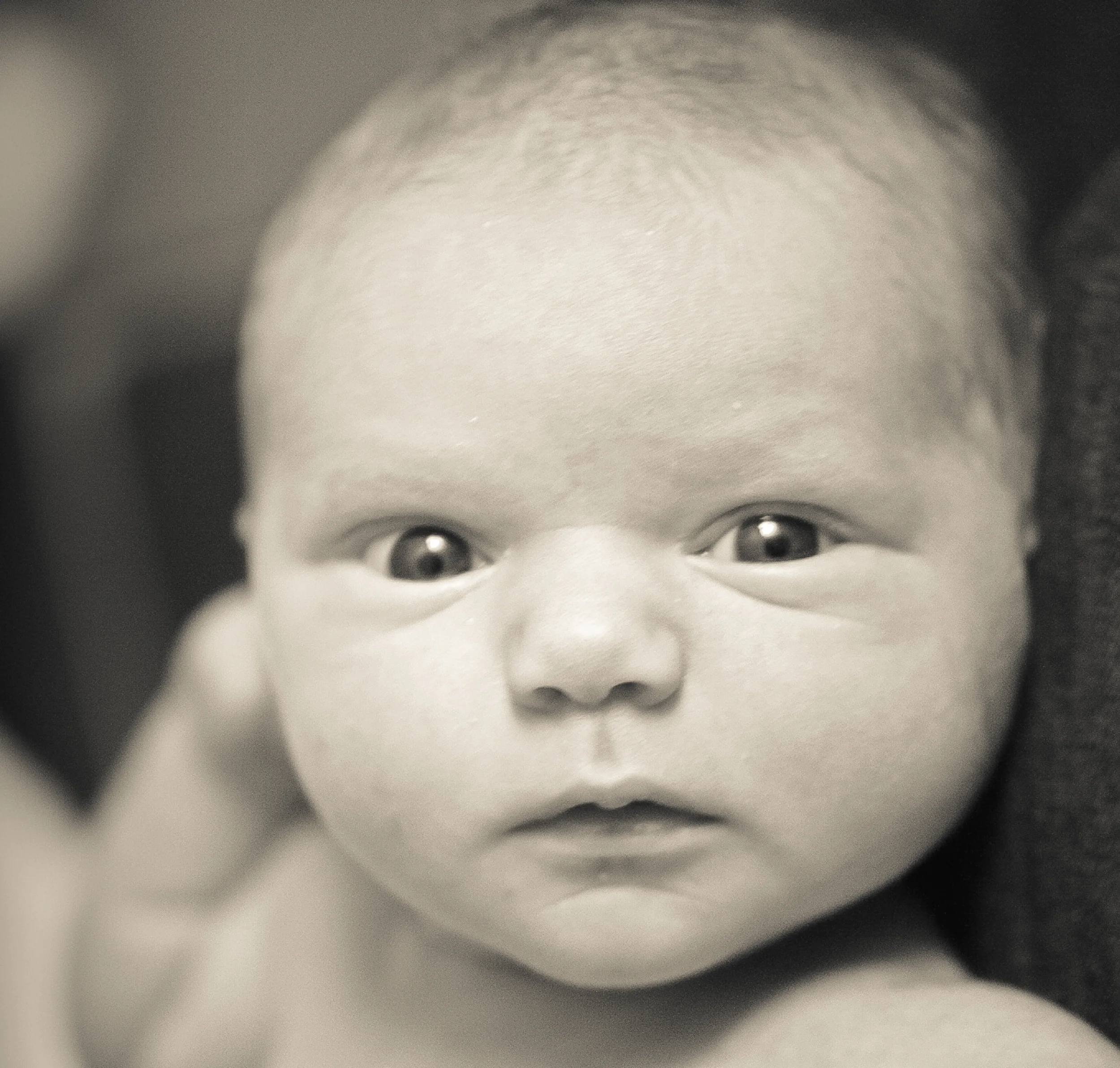 IMG_4532-Edit.jpg
