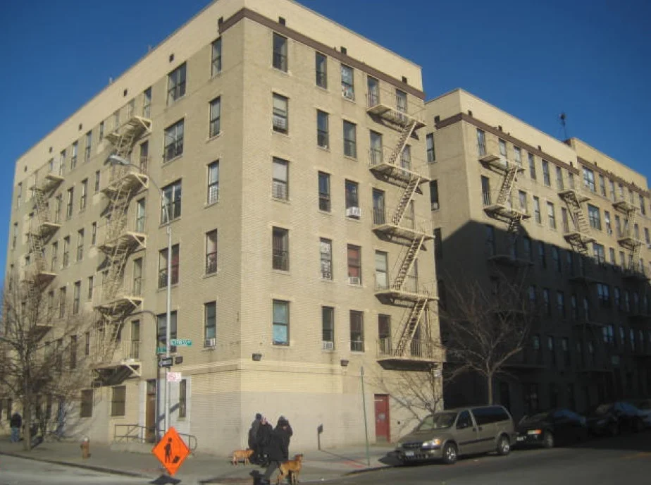 223cypress.jpg