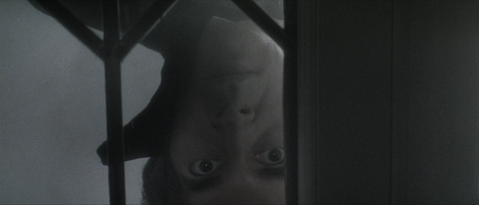 Dracula // 1979 // USA, UK // John Badham