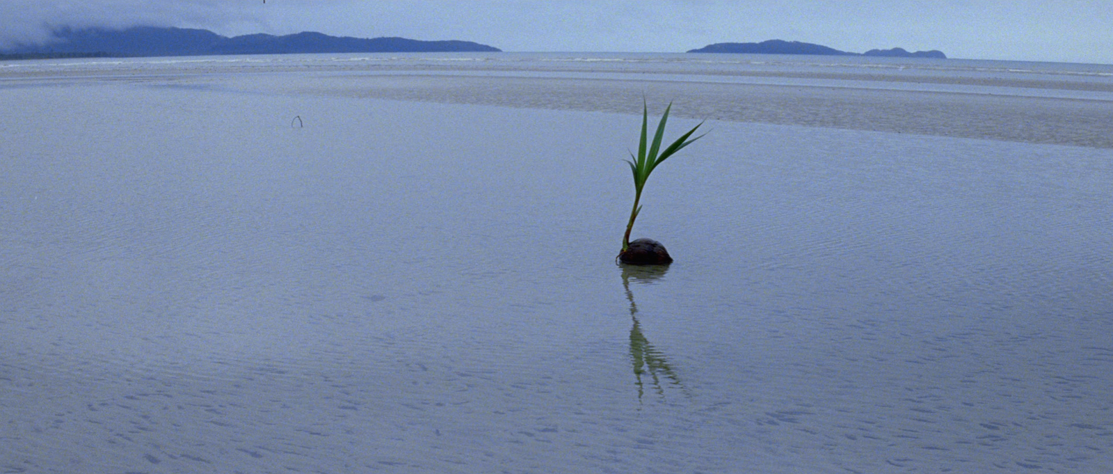 The Thin Red Line // 1998 // USA // Terrence Malick