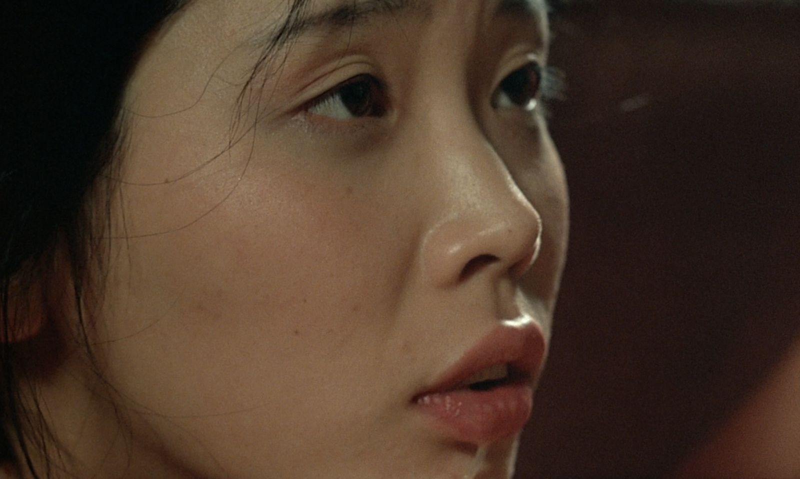 In the Realm of the Senses // 1976 // Japan, France // Nagisa Ôshima