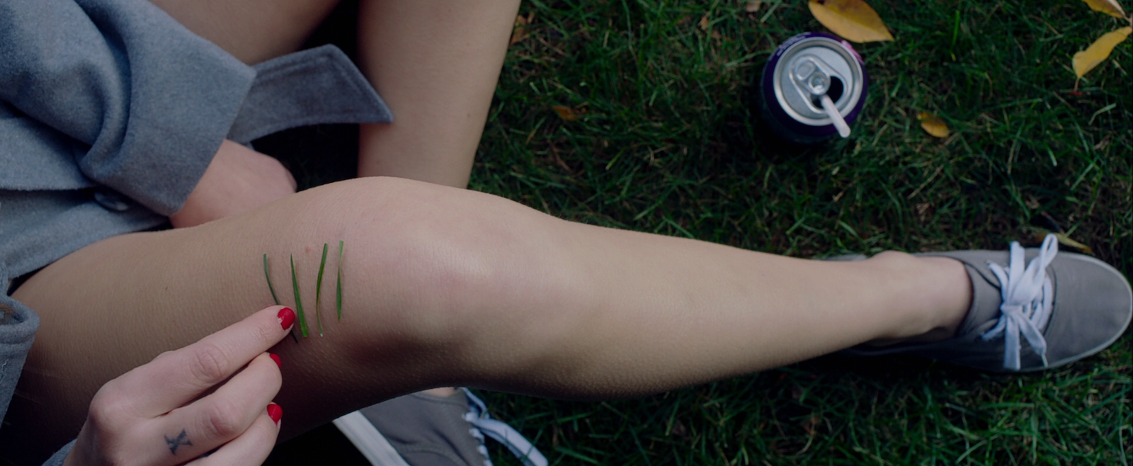 It Follows // 2014 // USA // David Robert Mitchell