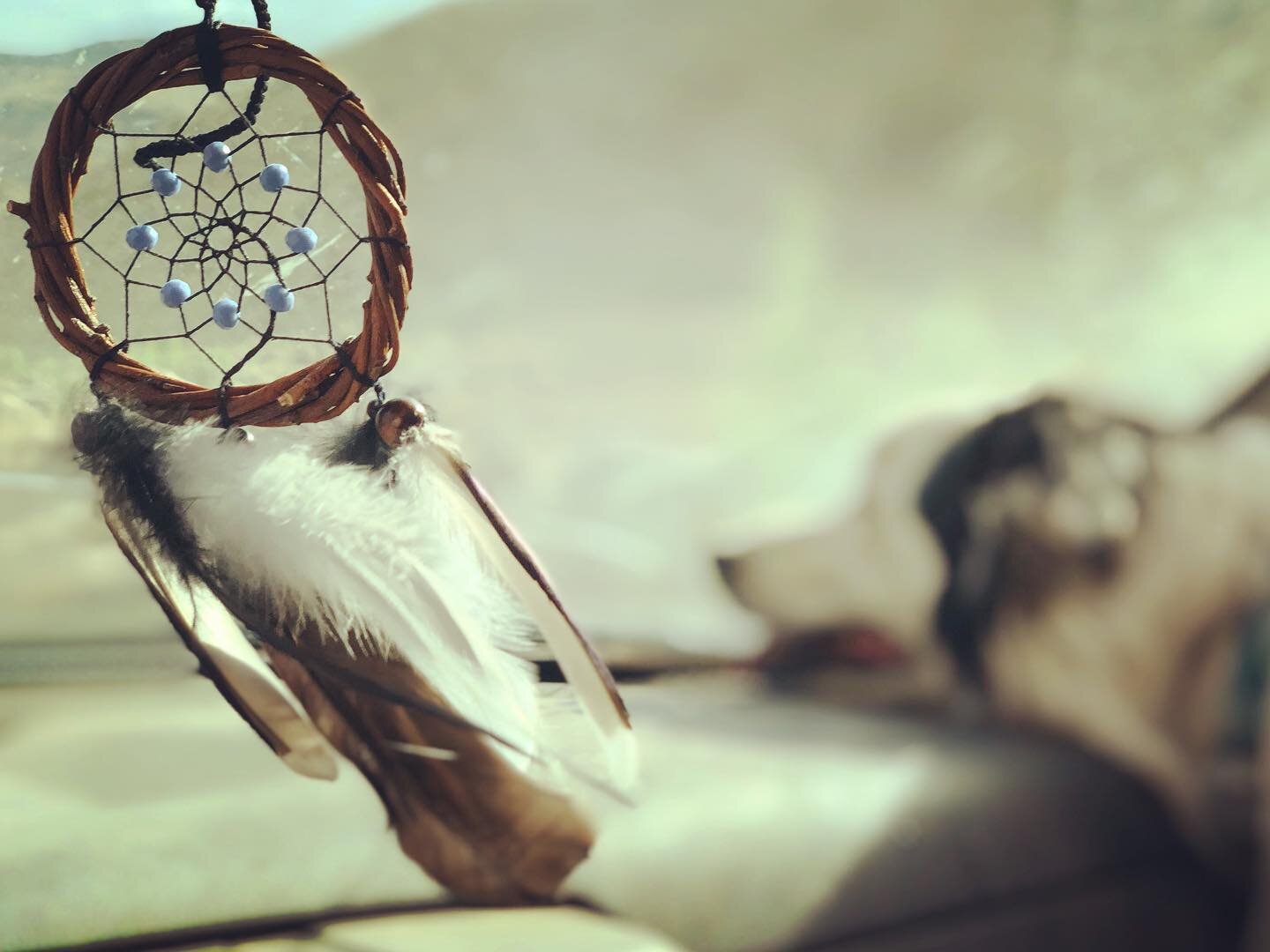 &ldquo;Dreams are illustrations from the book your soul is writing about you.&rdquo; Marsha Norman 
#ibelieve #dreamcatcher #soulseeker #tailsman #pursueyourdreams #protectyourdreams #goodvibesonly #roddickthedog #craftanddreams #dustyroads 
#roadtri
