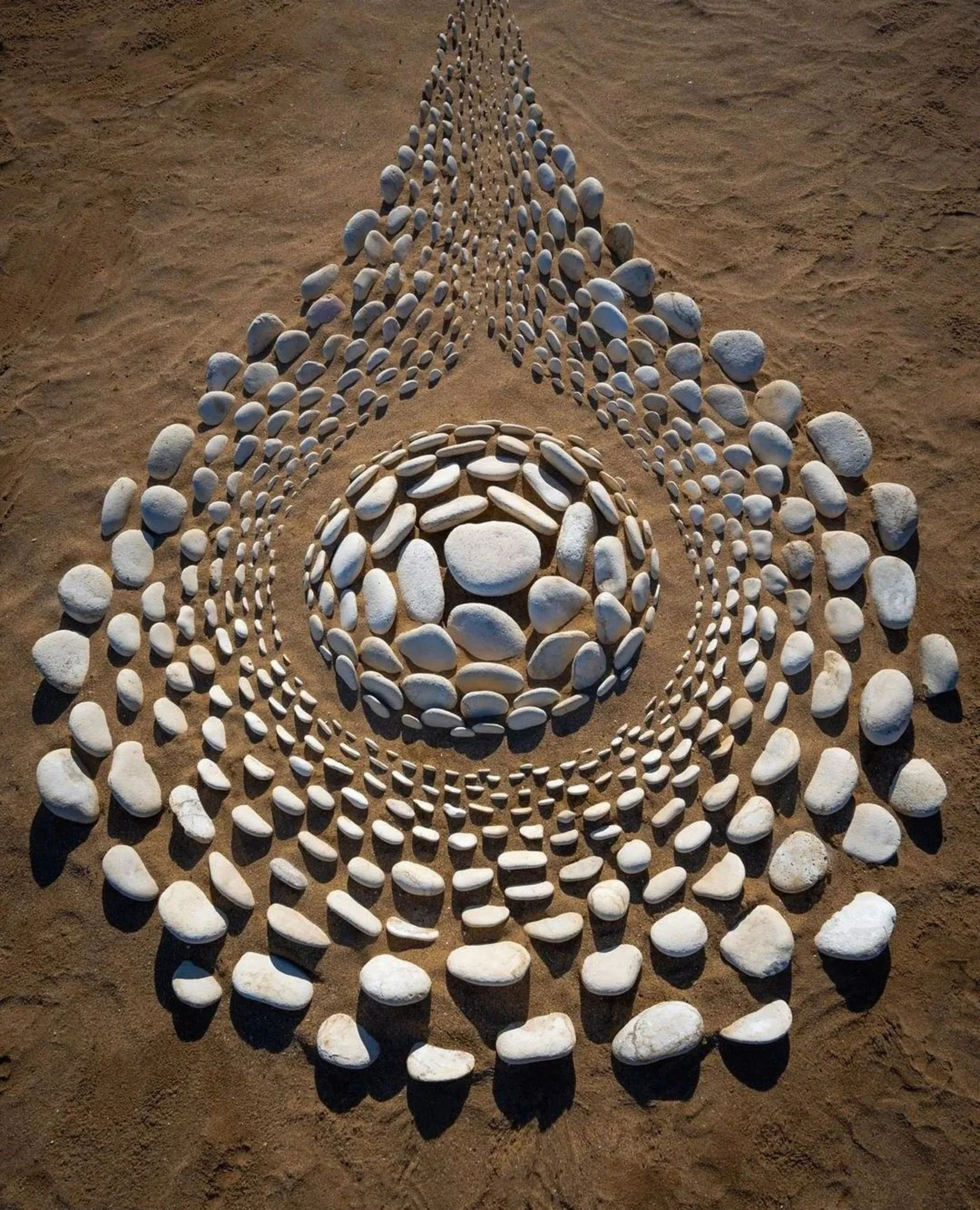 The Quiet Power of Ovulation: Holistic Impacts for Women's Health Across the Lifespan