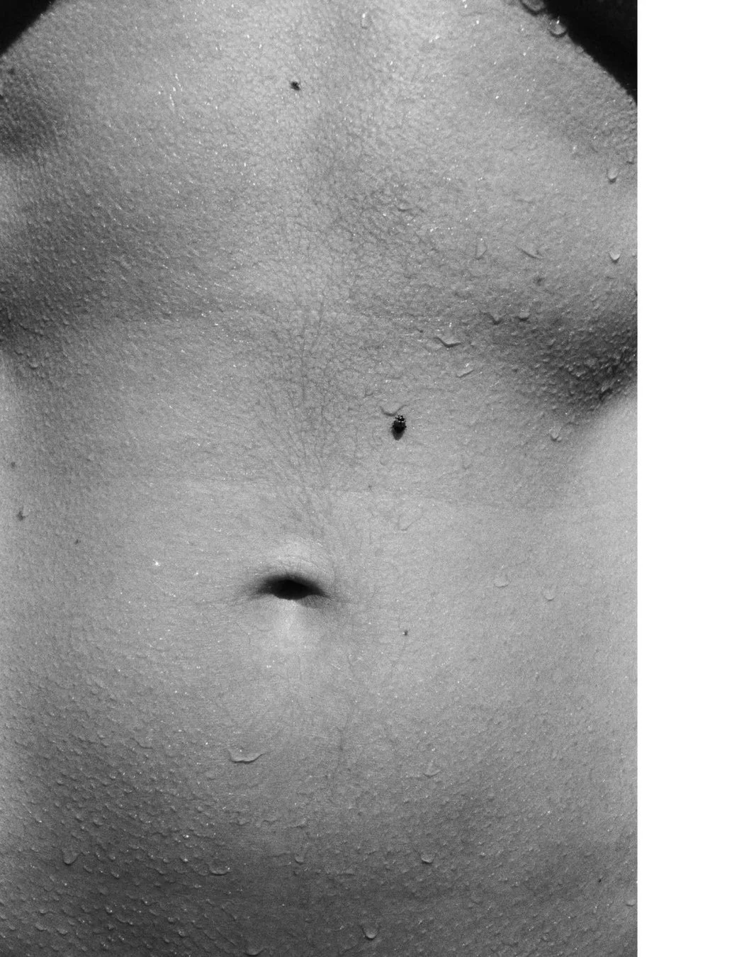 From the perspective of East Asian medicine, our digestive center is also where we process life. It&rsquo;s our Earth&mdash;our ability to absorb, metabolize, and integrate. When that Earth is taxed by stress, urgency, or overload, it can show up as 