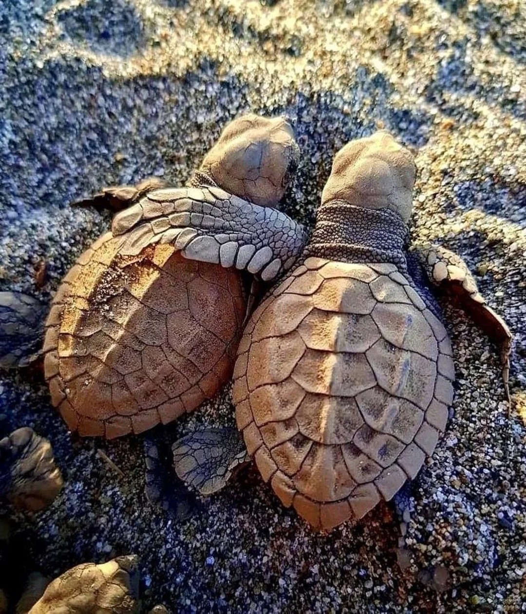 In quieter moments, I&rsquo;ve heard many of you share about how you deeply long to slow down. How the pace you&rsquo;ve been moving at hasn&rsquo;t felt sustainable for a very long time now. How that desire for more spaciousness lives not just in yo