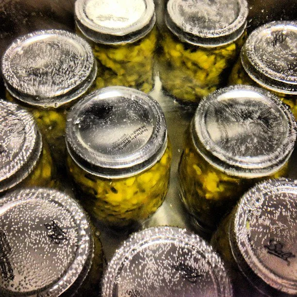 ZUCCHINI RELISH in Progress