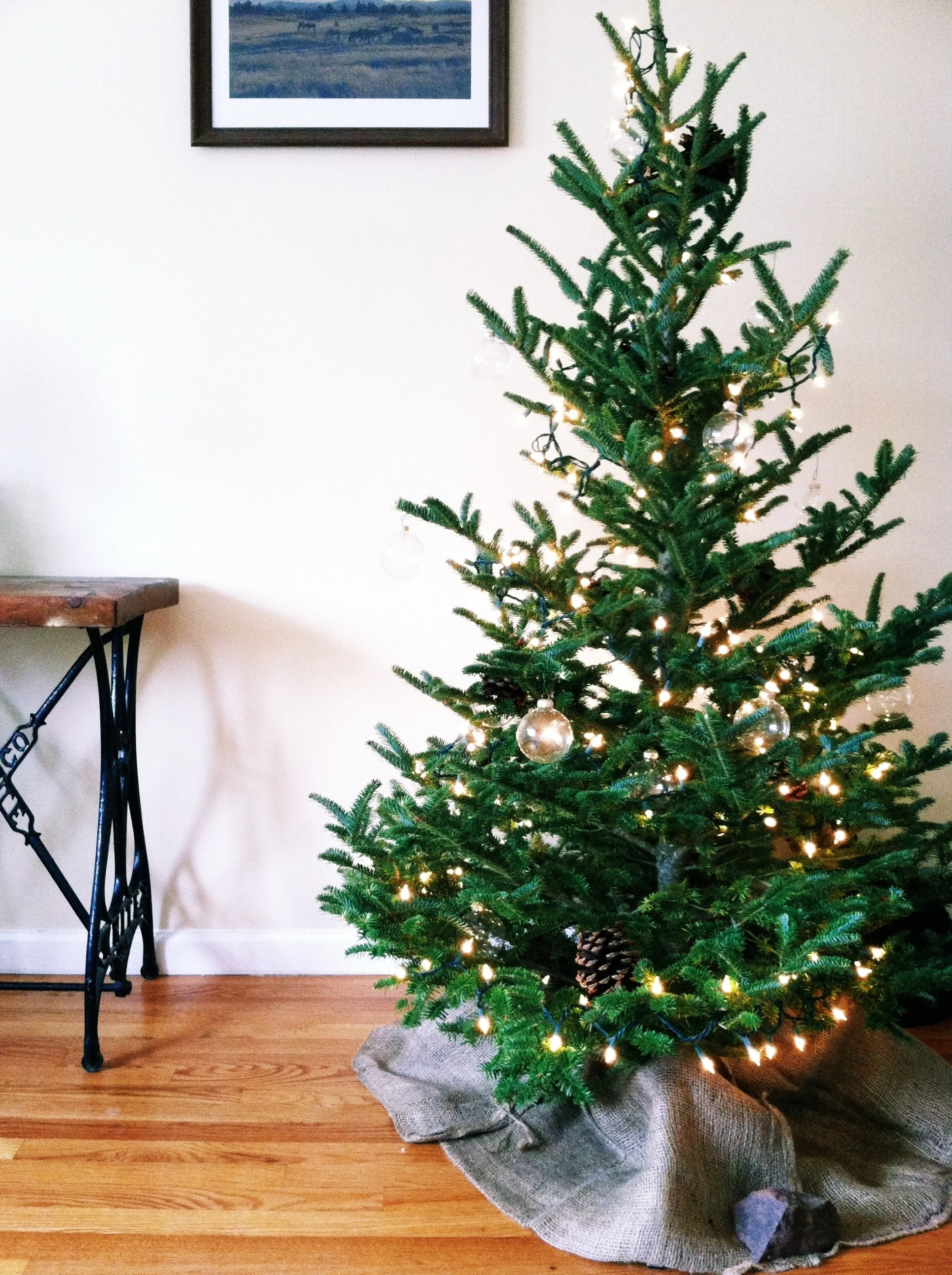 Christmas Tree.jpg