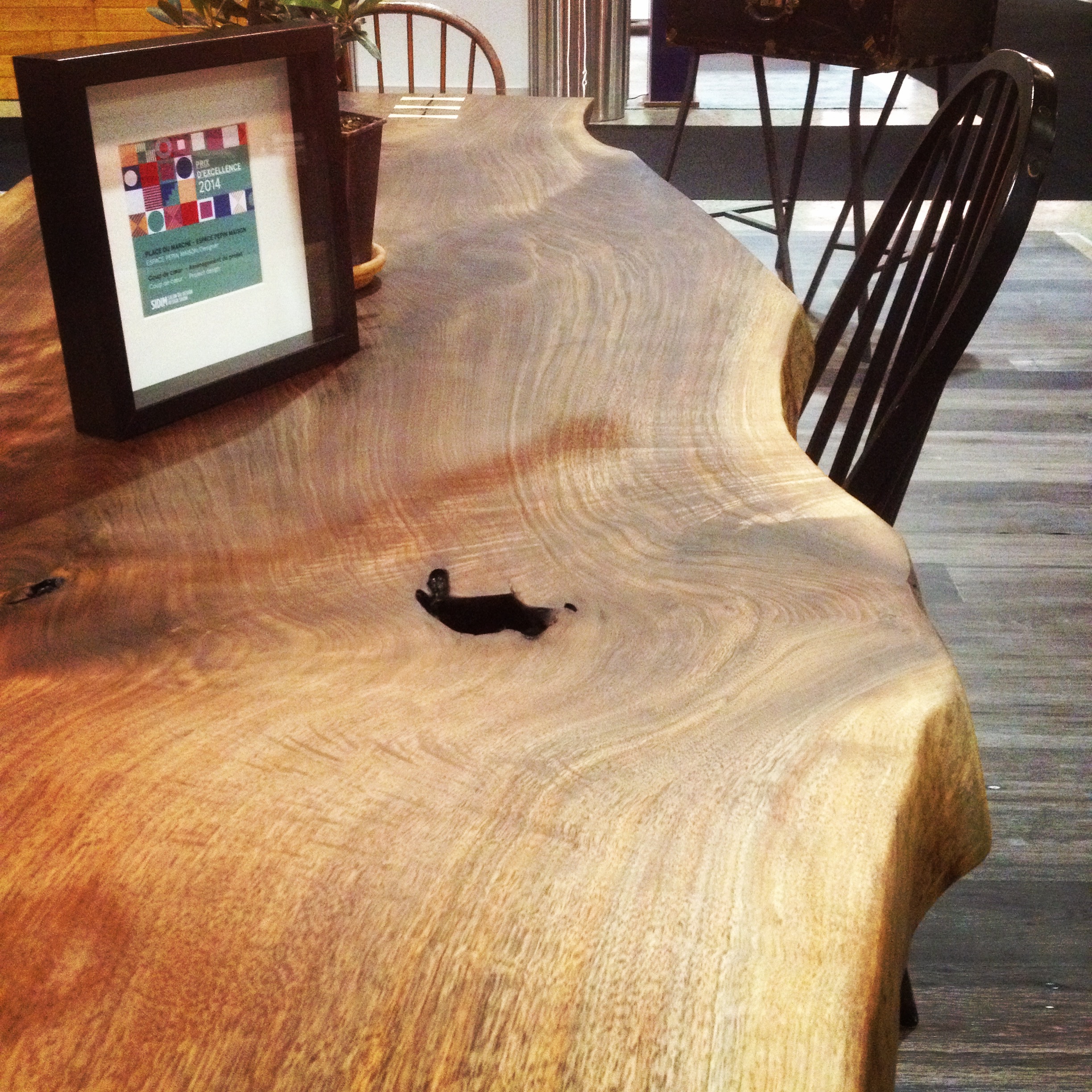 live edge black walnut dining table