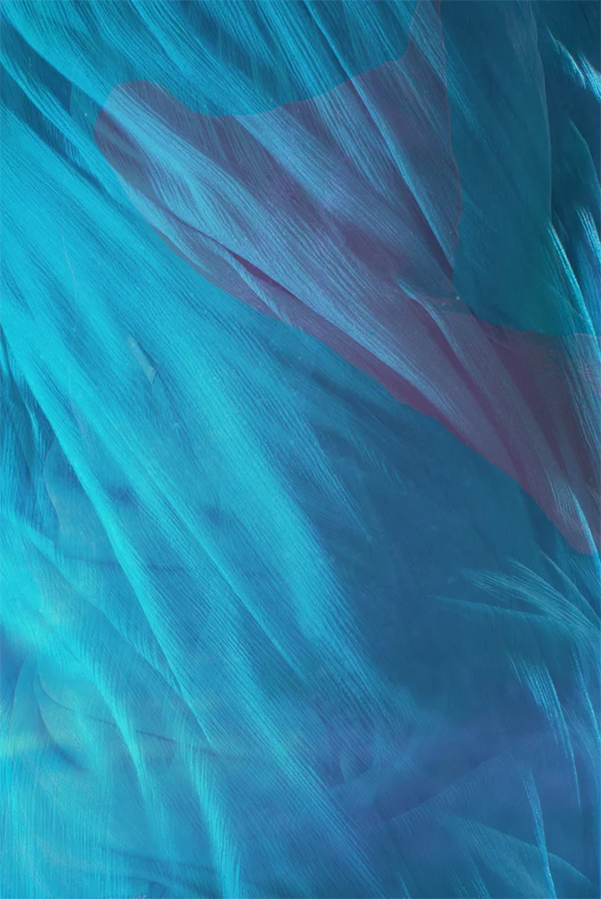 Ease and Flow.jpg