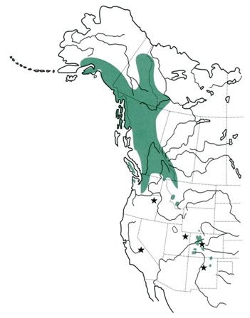 Approximate distribution of white-tailed ptarmigan in western North America. Stars show locations where white-tailed ptarmigan have been introduced into previously-unoccupied habitats (Sierra Nevada Mountains, CA; Wallowa Mountains, OR; Uinta Mountains, UT; and Pikes Peak, CO) or reintroduced into formerly occupied habitats (northern New Mexico).
