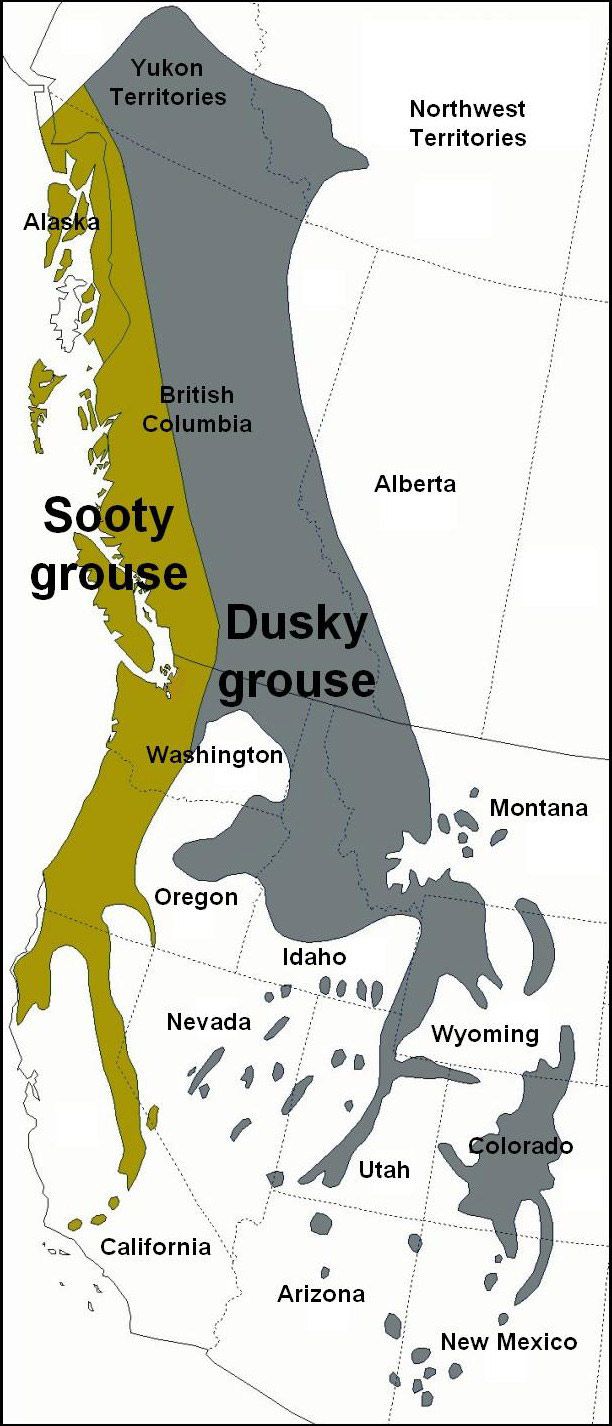 Ranges of the Sooty and Dusky Grouse.