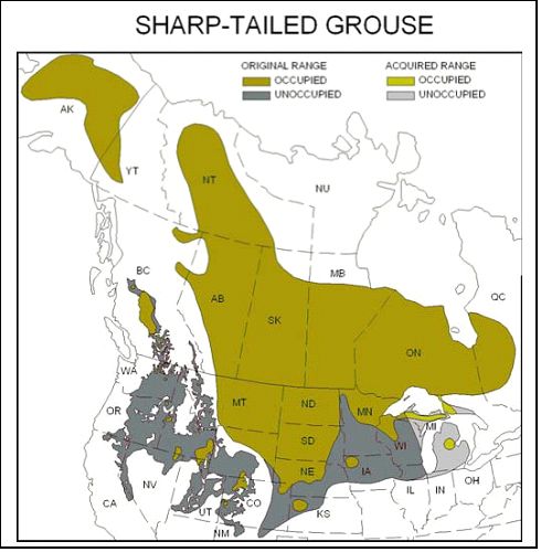 Sharp-tailed Grouse Range.