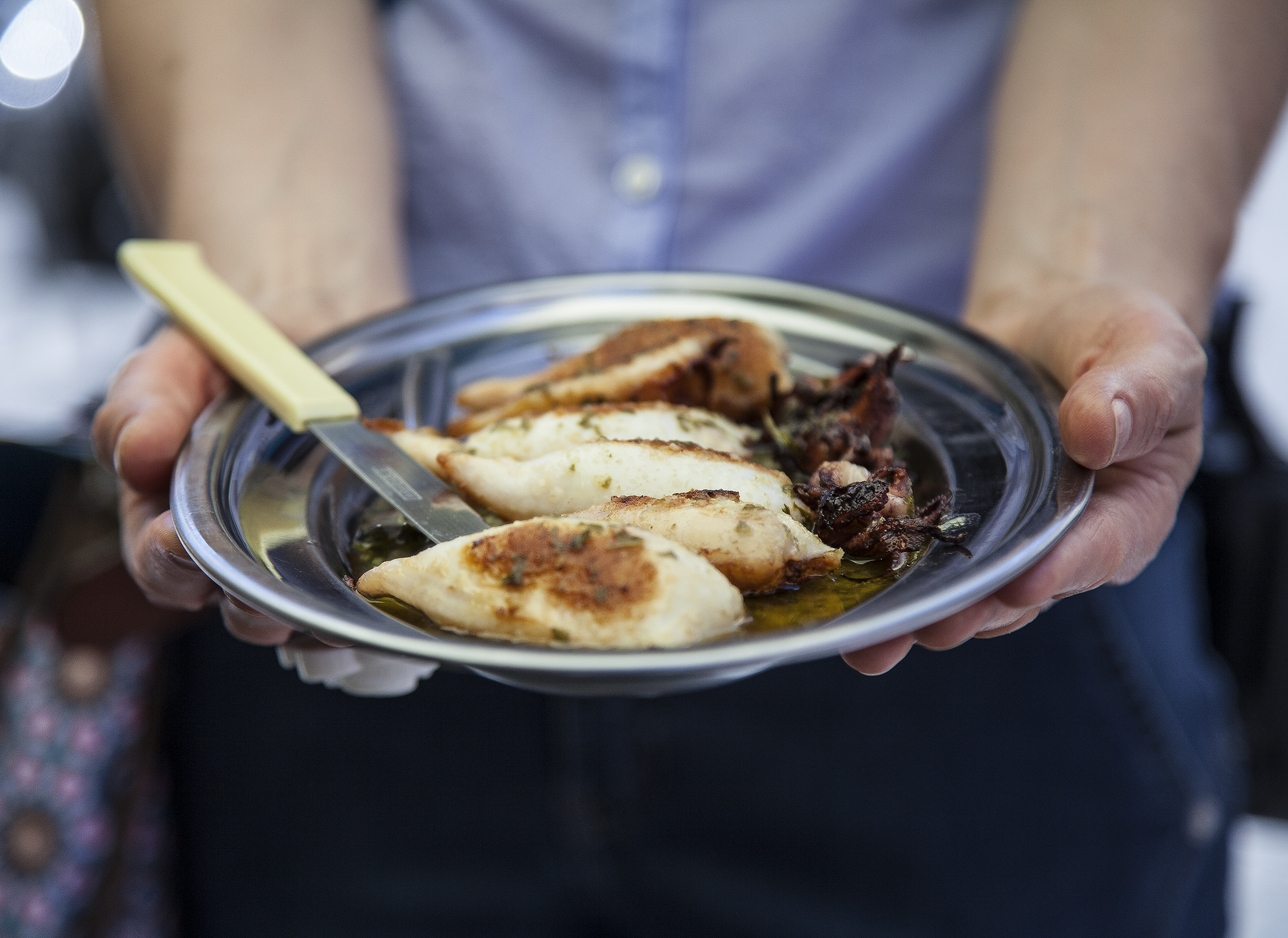 FishPlate_2500.jpg