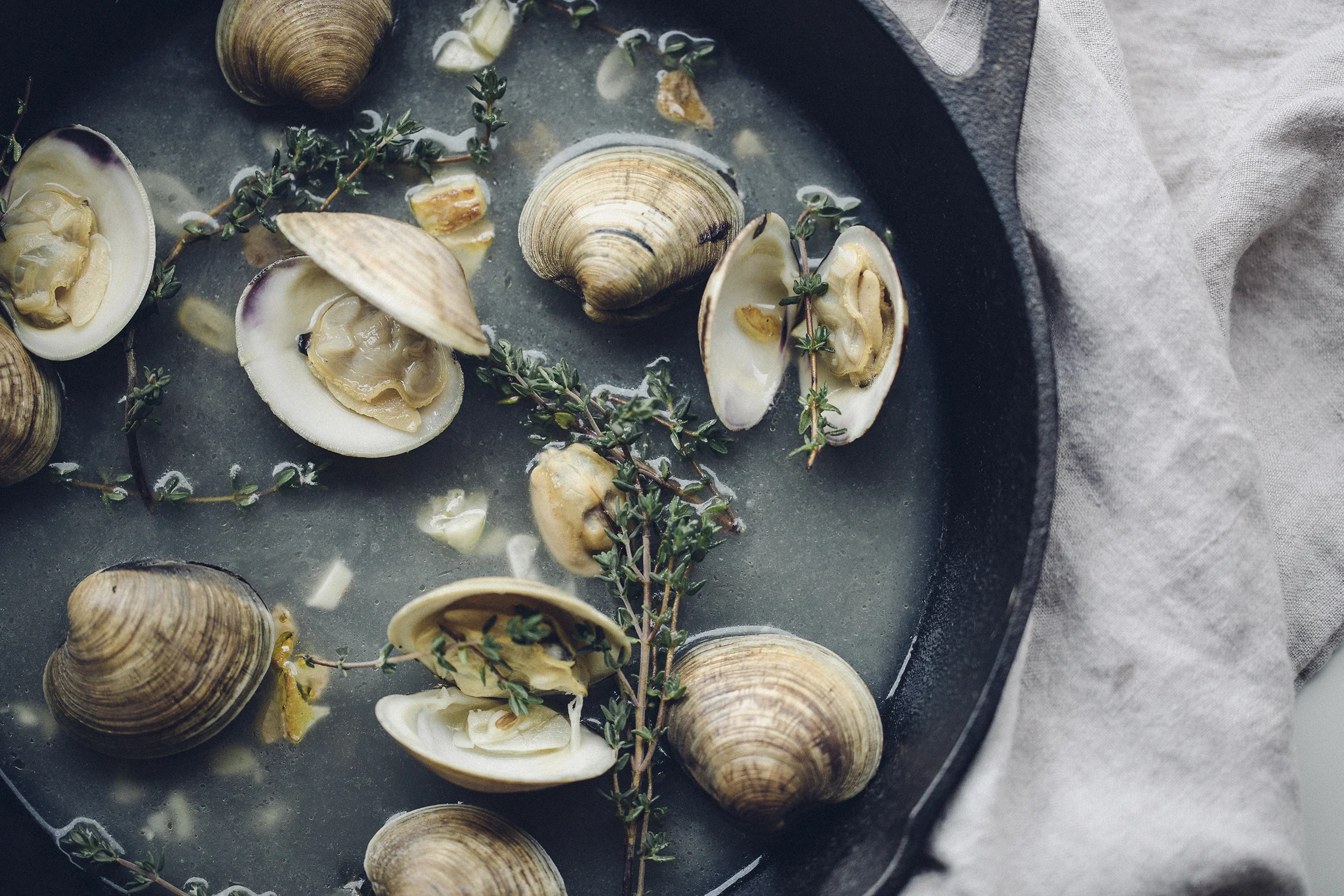 ClamOverhead_W.jpg