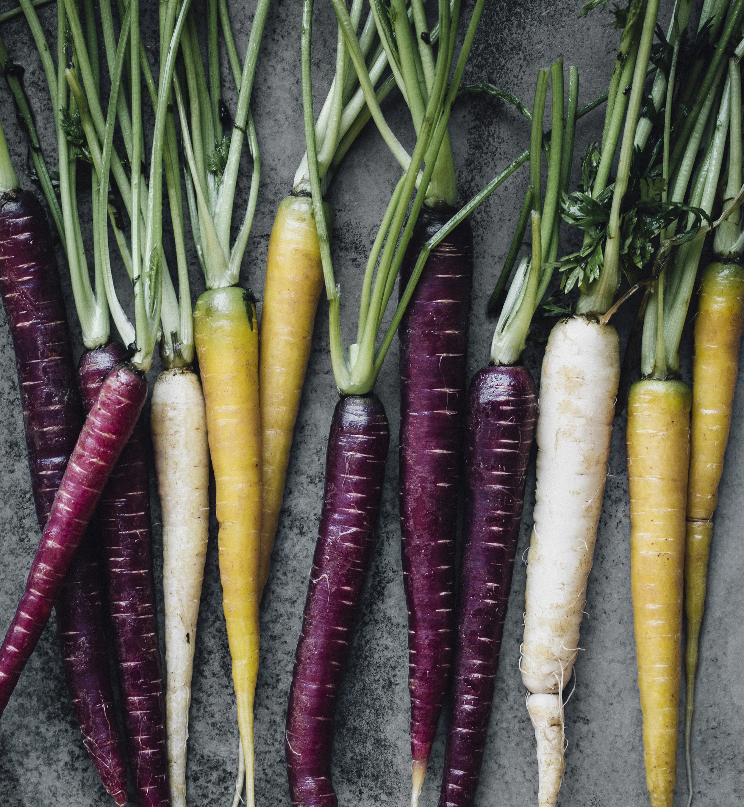 CARROTS_W.jpg