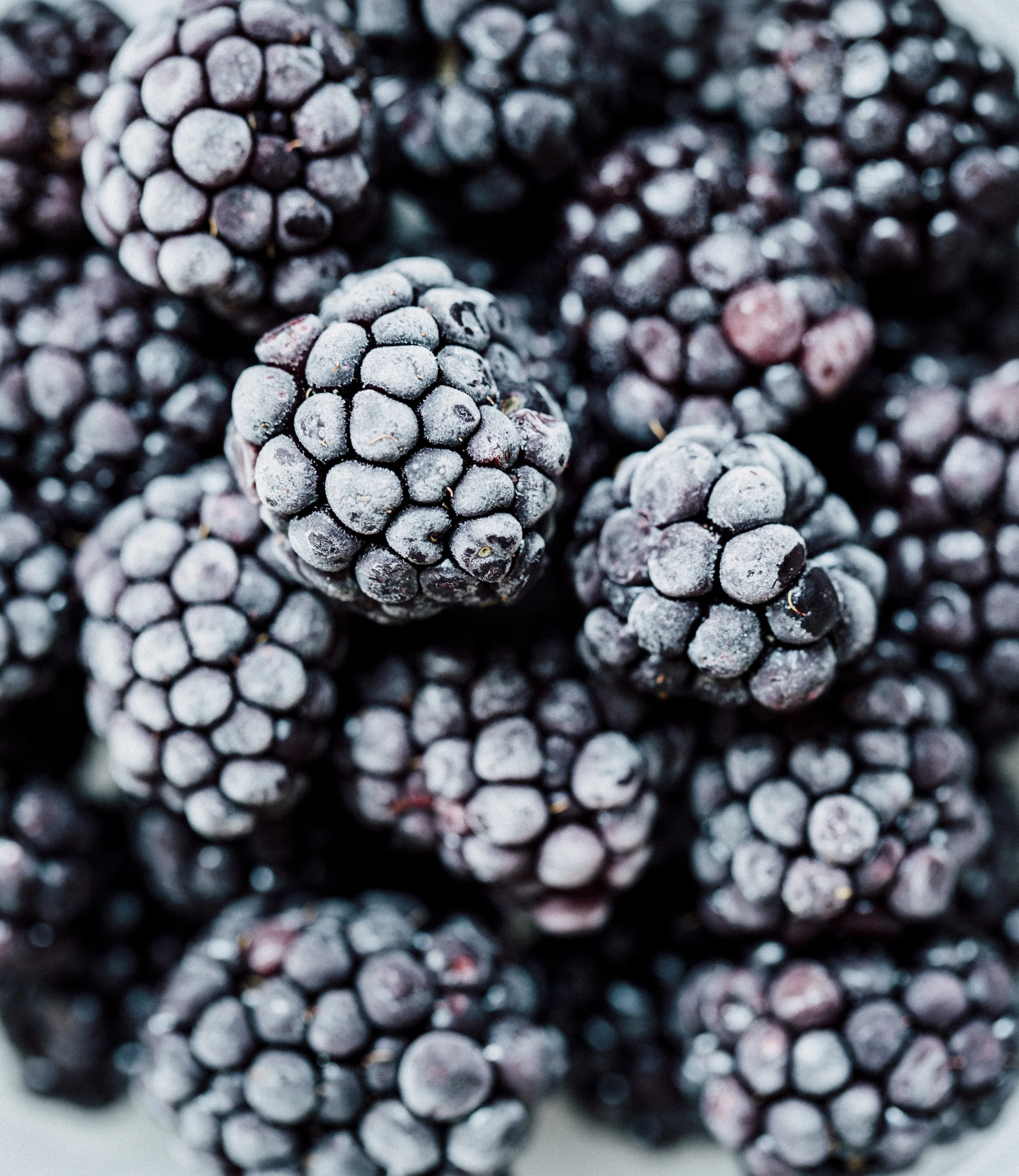 BLACKBERRIES_W.jpg