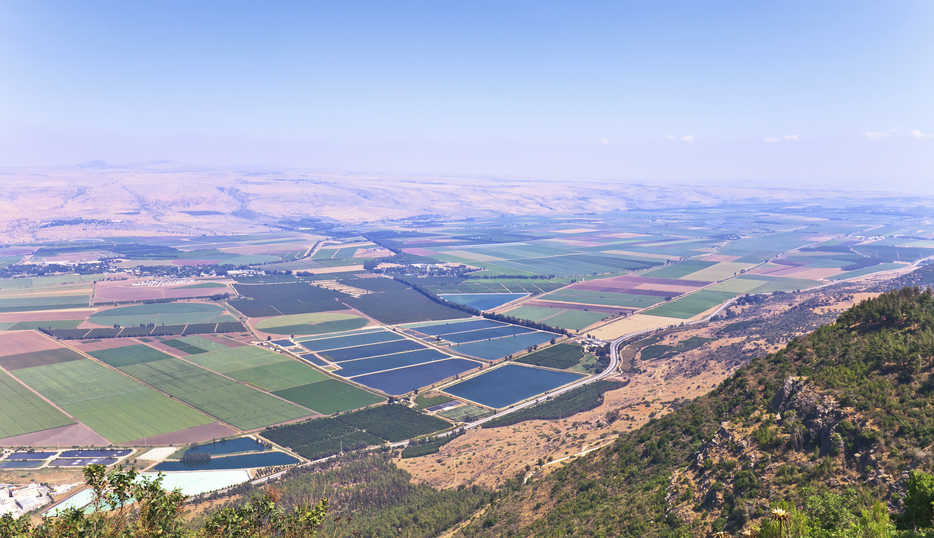 Technologies such as drip irrigation have transformed the Negev Desert into fertile farmlands (Source iStock )