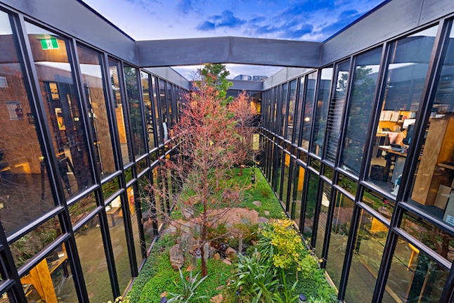 The private offices at The Commons overlook a beautiful central garden  (Image courtesy Cliff Ho)