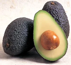 avocado.jpg