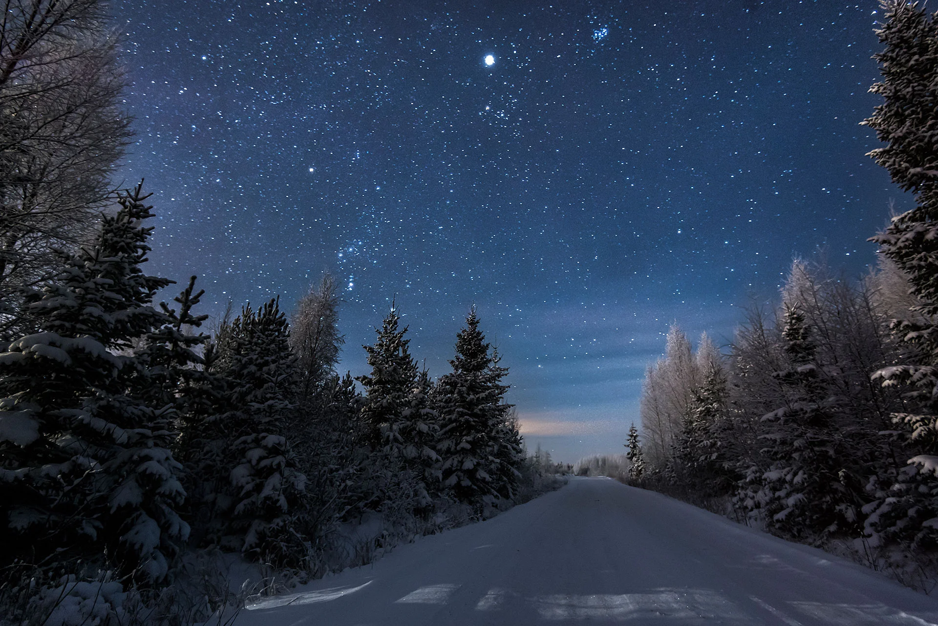 Blue Night