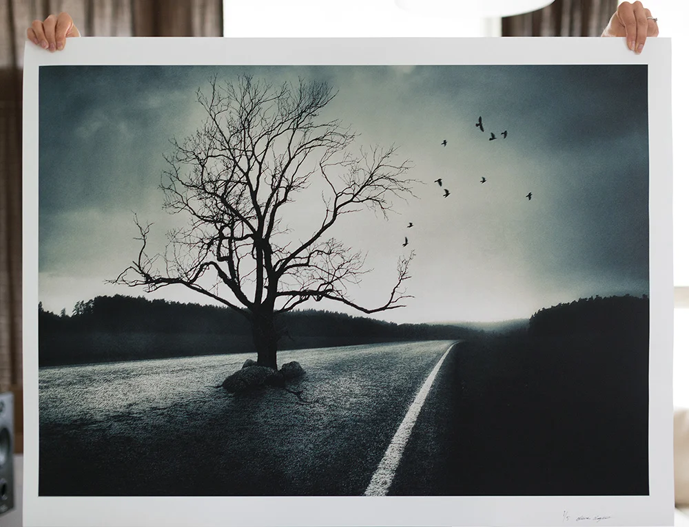 mikko-lagerstedt-print-giveaway2.jpg