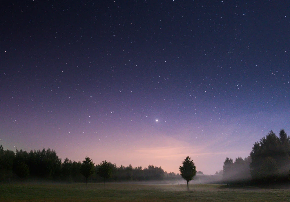 Something About a Tree - Hanko, Finland - Nikon D800, 35 mm f/4.0, ISO 6400, 15 sec.