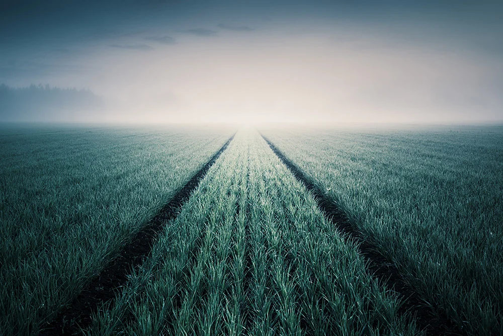 Mikko Lagerstedt - Infinity - 2013
