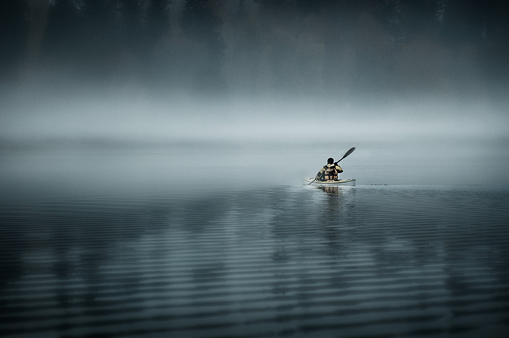 Into The Mist