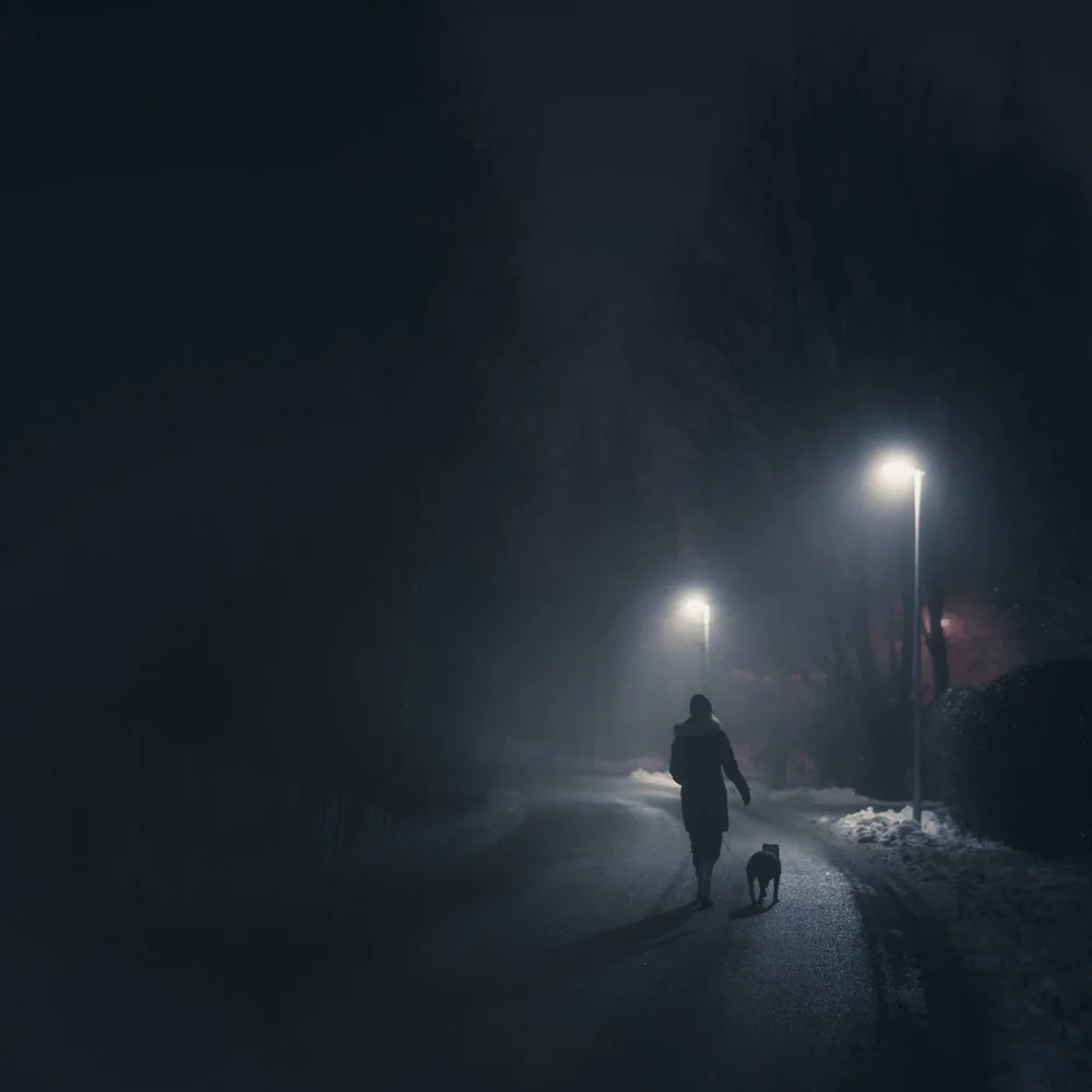 Night Walk - 2014