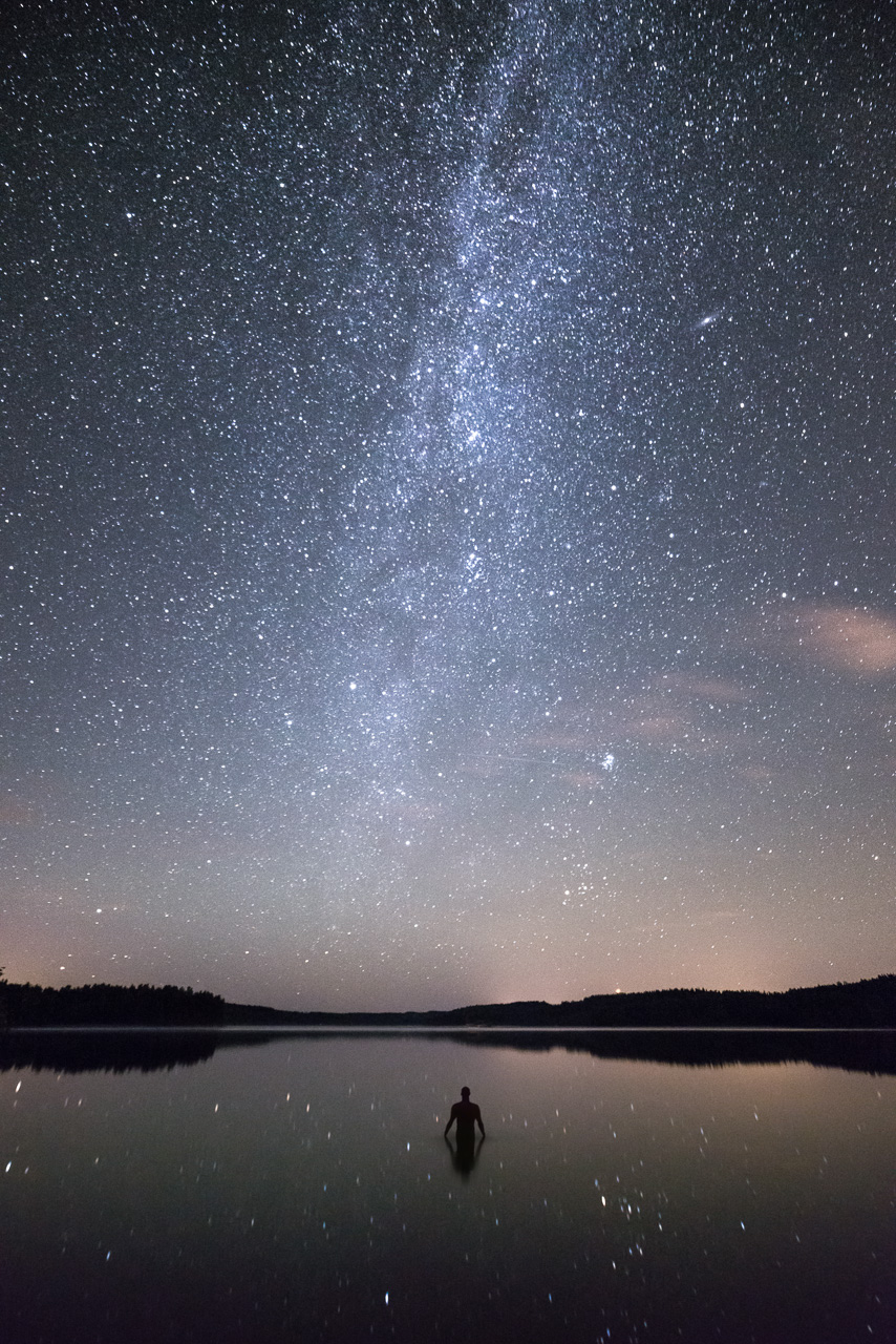 Mikko Lagerstedt - Moment of Elegance, 2014
