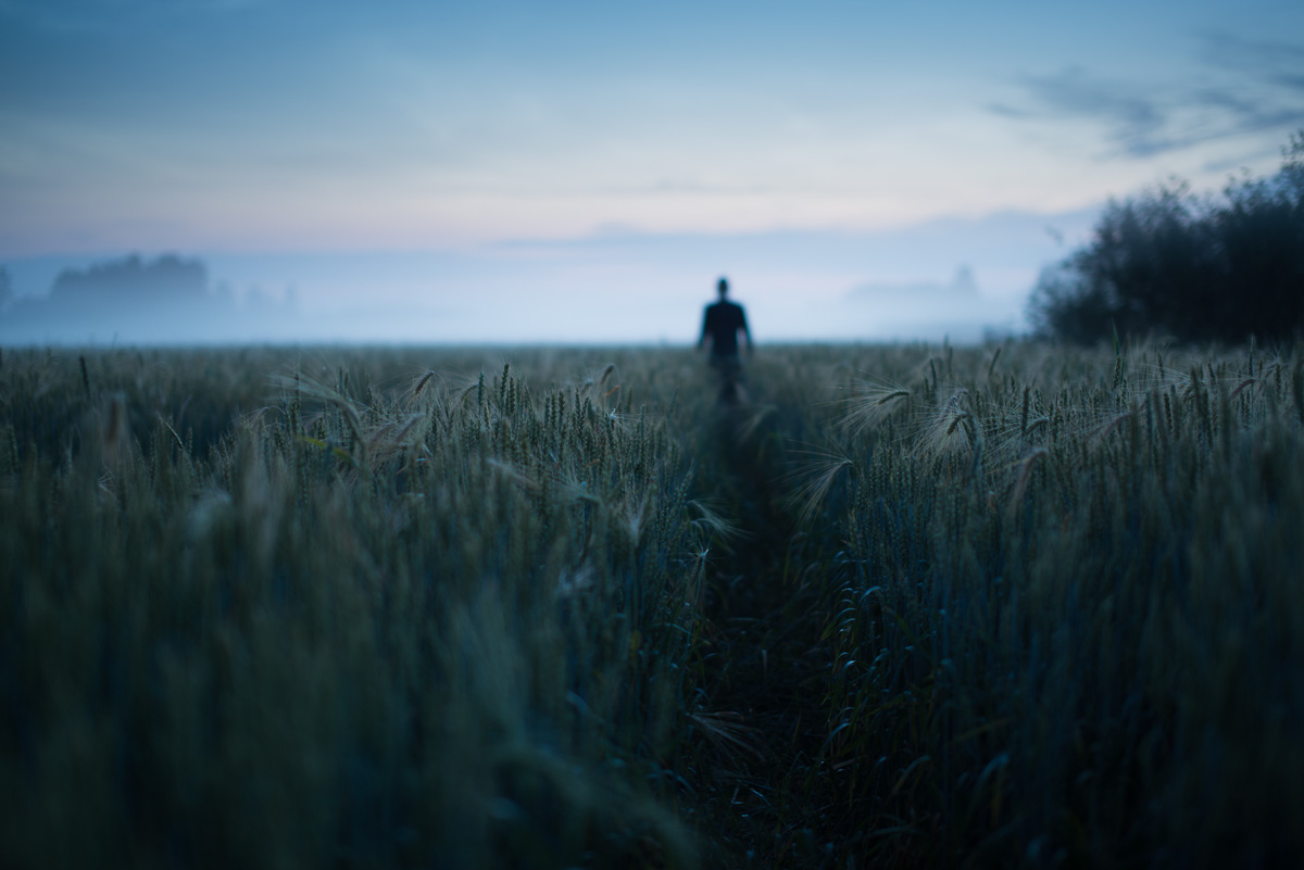 Path - Mikko lagerstedt - 2014