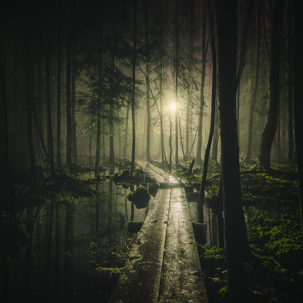 Mikko Lagerstedt - Pathway