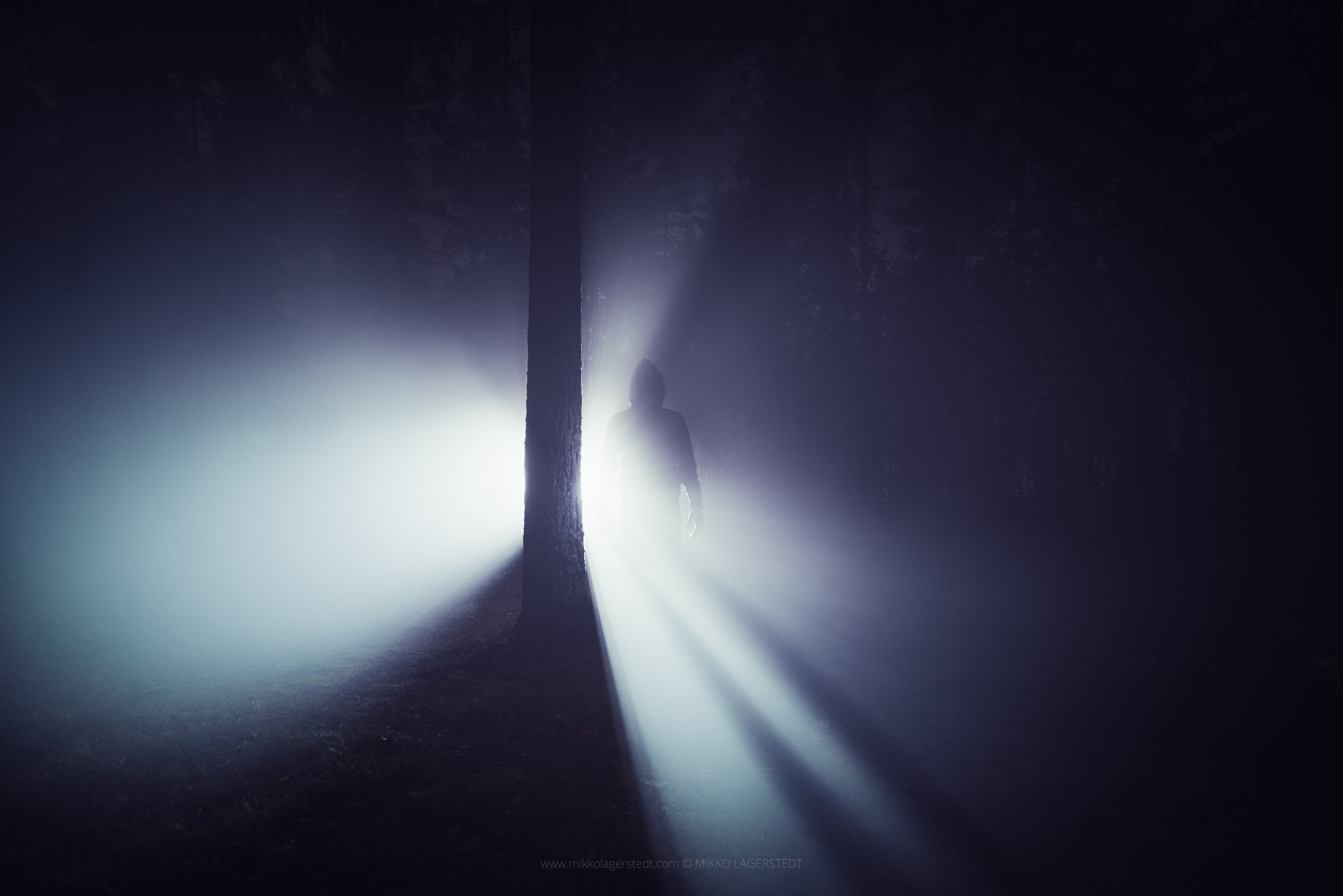Mikko Lagerstedt - Lost in the Mist, 2014