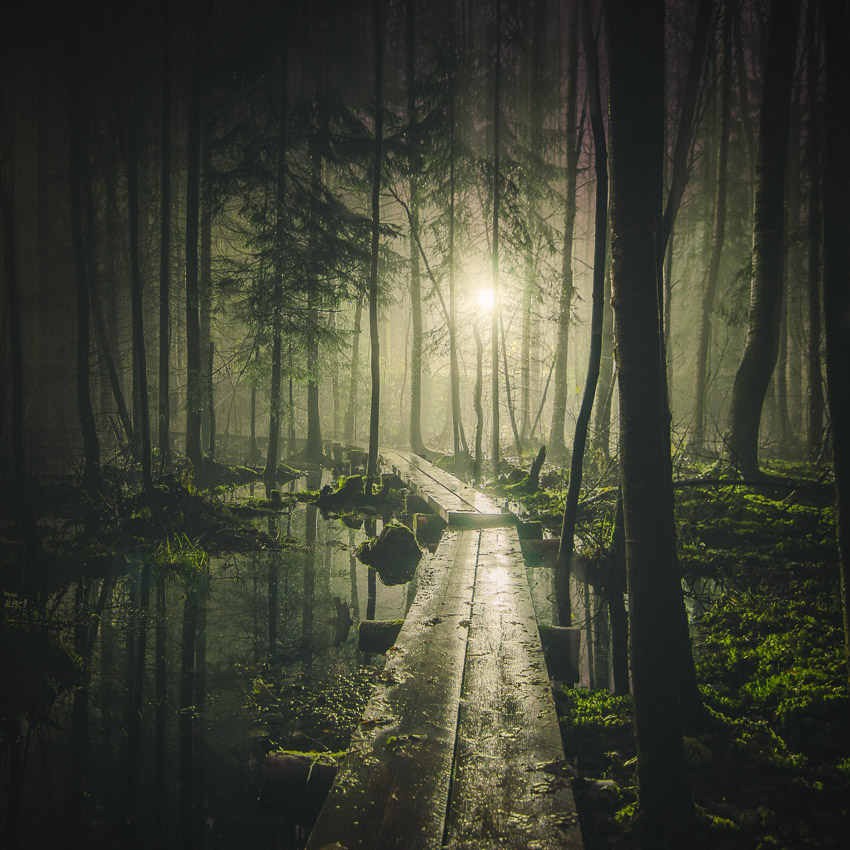 Mikko Lagerstedt - Pathway - 2014, Tuusula, Finland