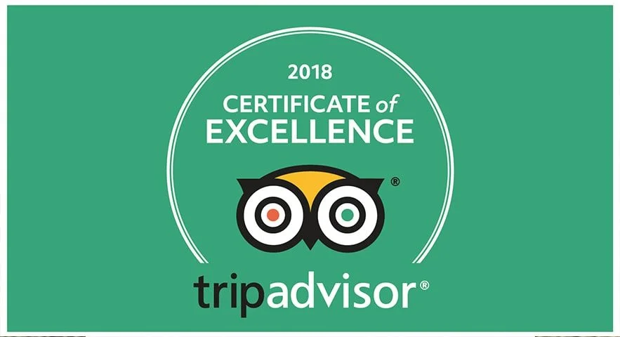 trip-logo-883x480.jpg
