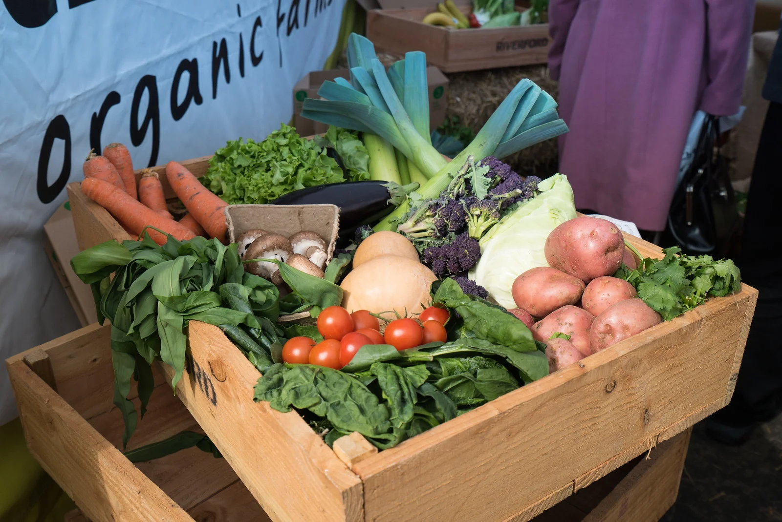      

 
  Vario-Tessar FE 16-35f4 OSS
 






















     