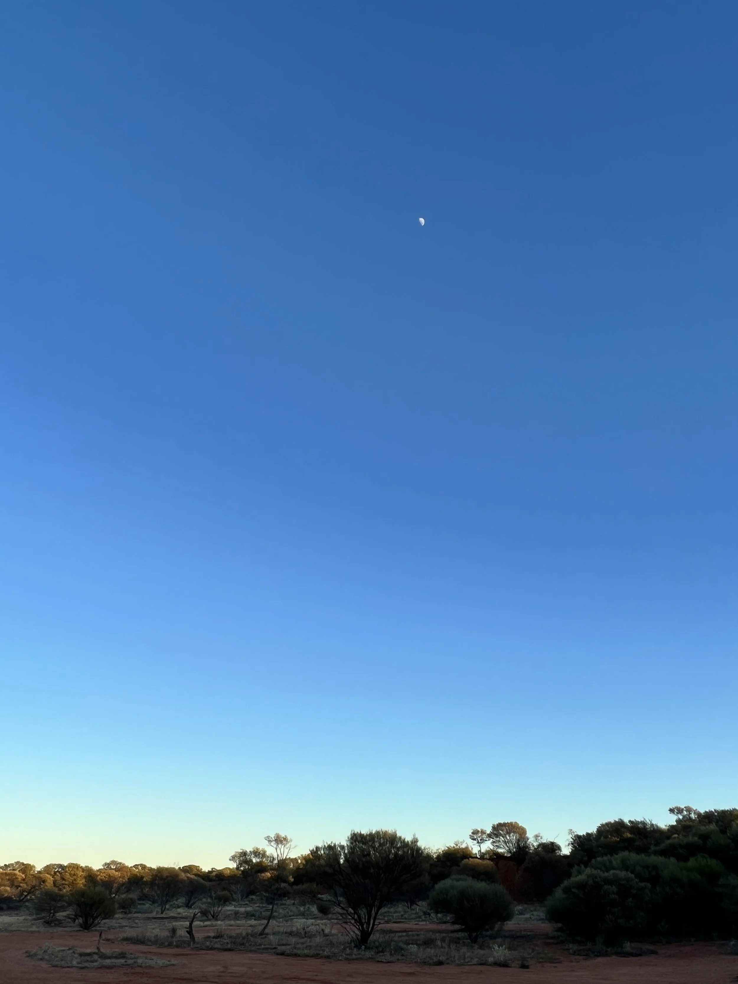 IMG_3309~photo.JPG
