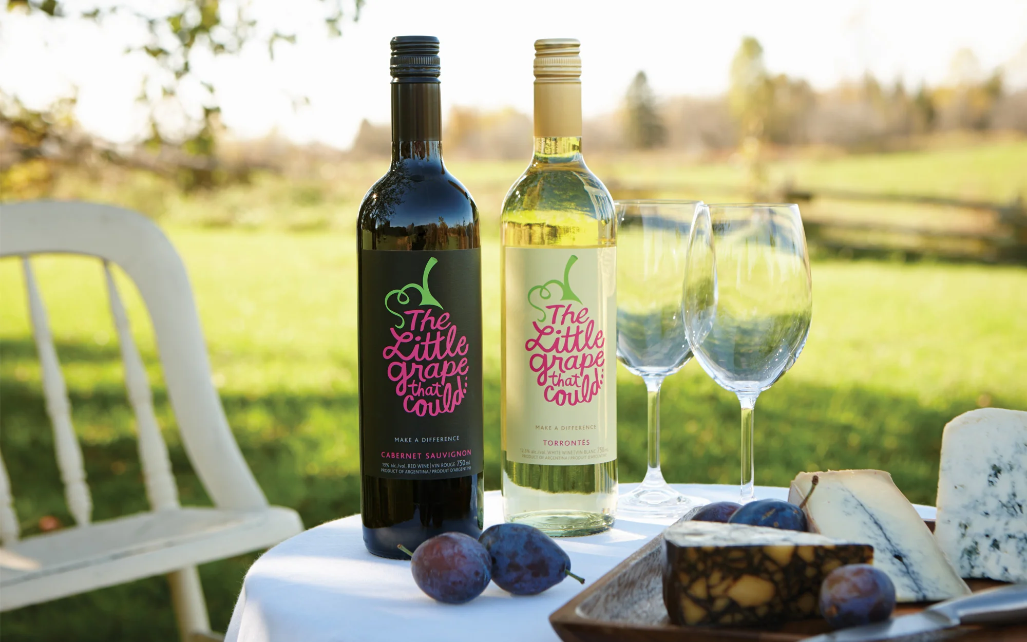 THE LITTLE GRAPE THAT COULD