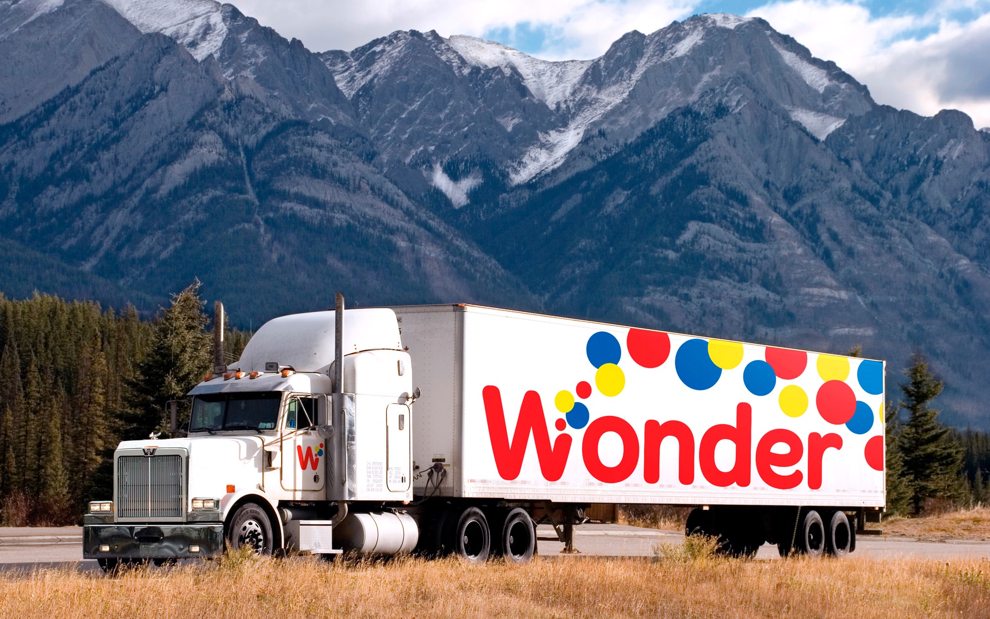 WESTON BAKERIES | Wonder