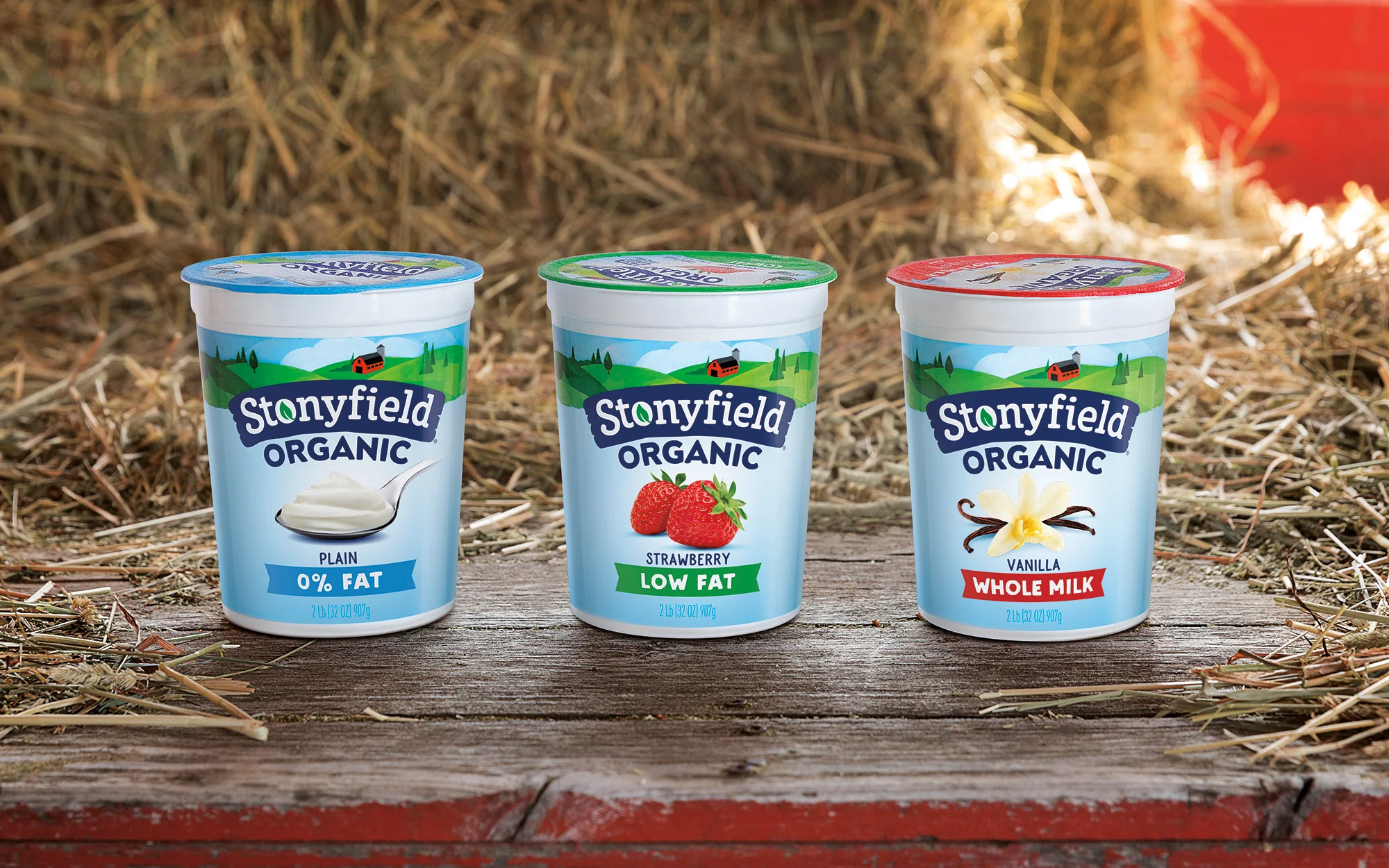 Davis-Agency-Stonyfield-Yogurt-Group-With-Hay-Design.jpg