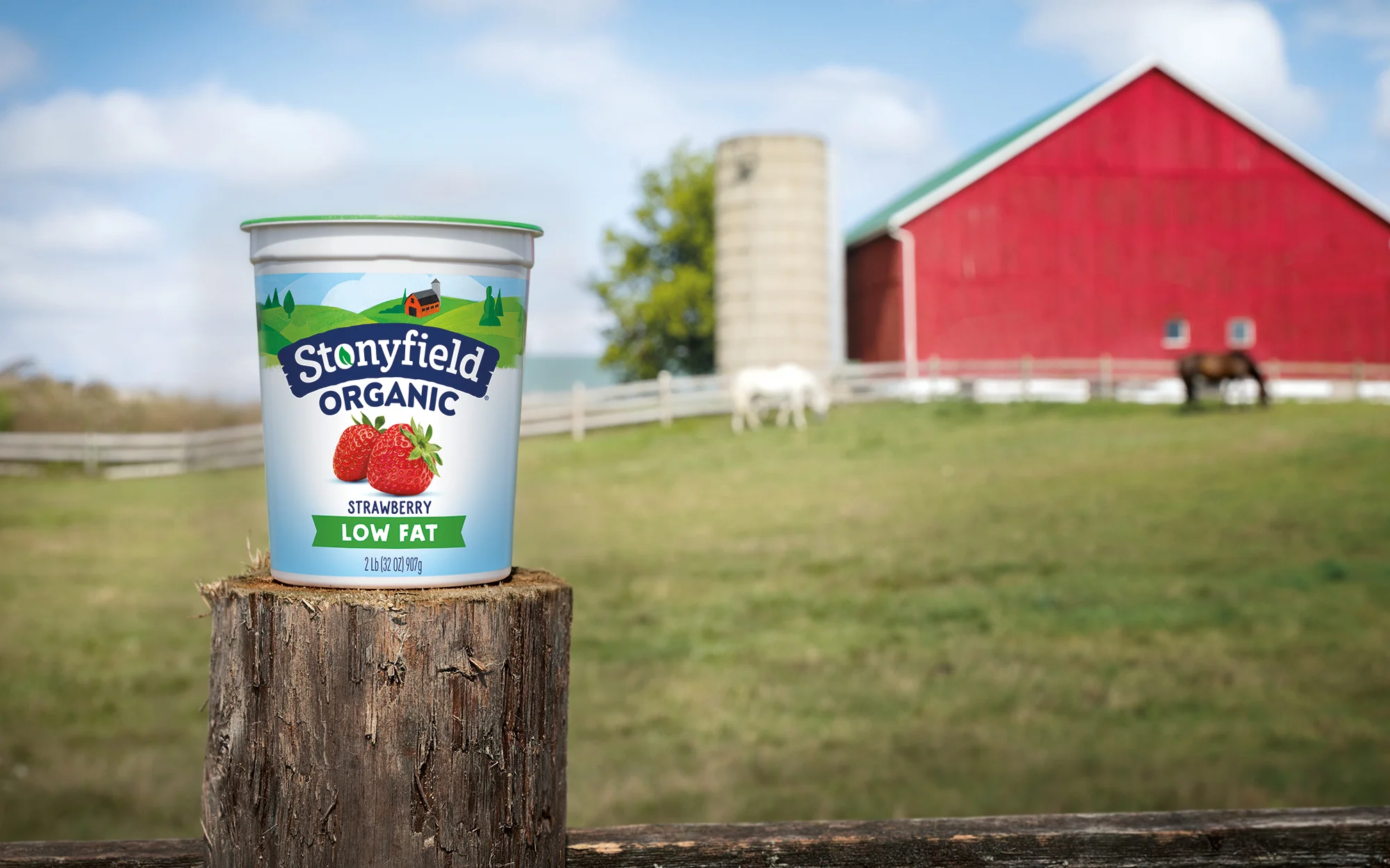 Davis-Agency-Stonyfield-Yogurt-Hero-Barn-Design.jpg